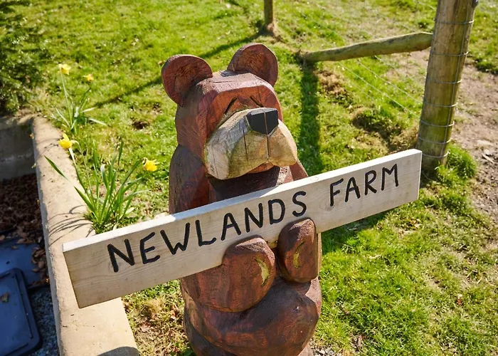 Newlands Farm Stables