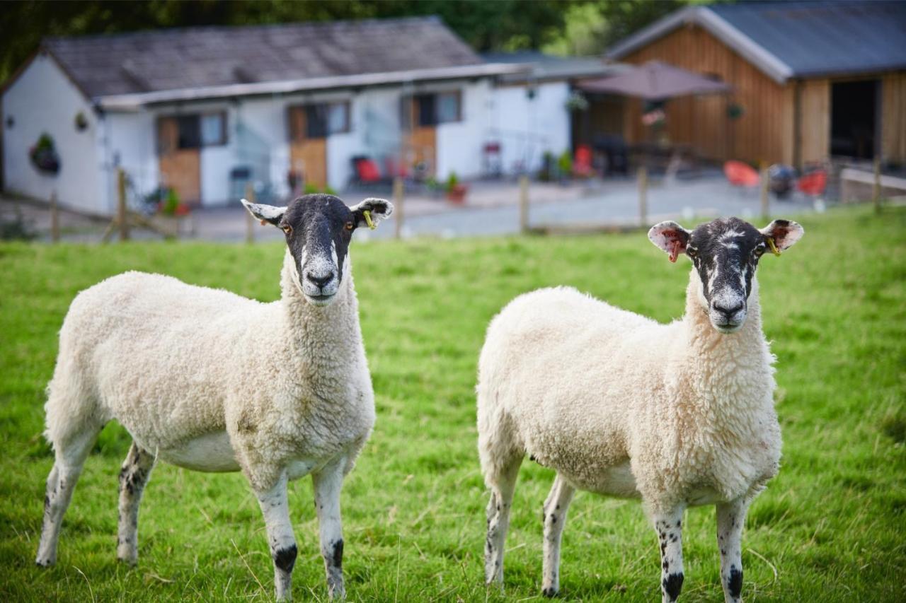 Newlands Farm Stables Kendal