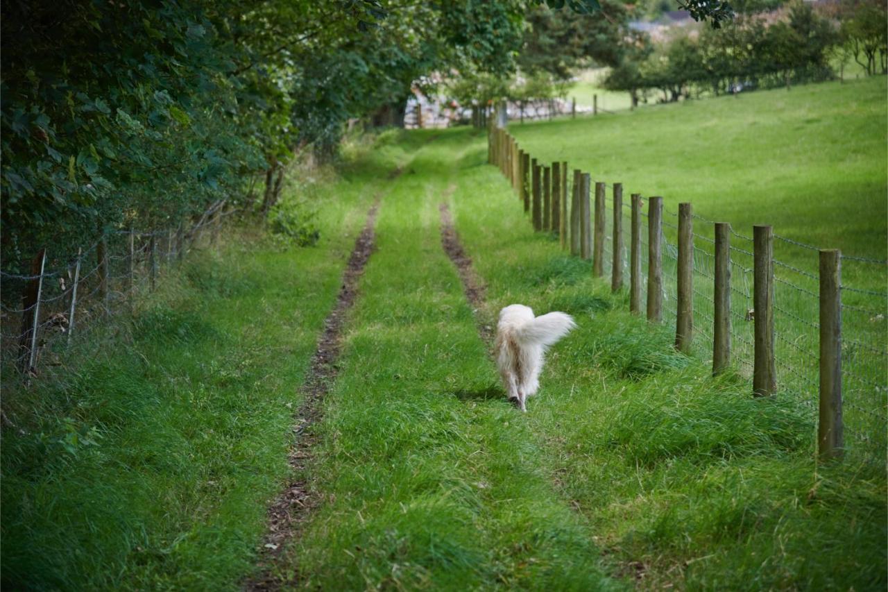 Newlands Farm Stables Holiday home