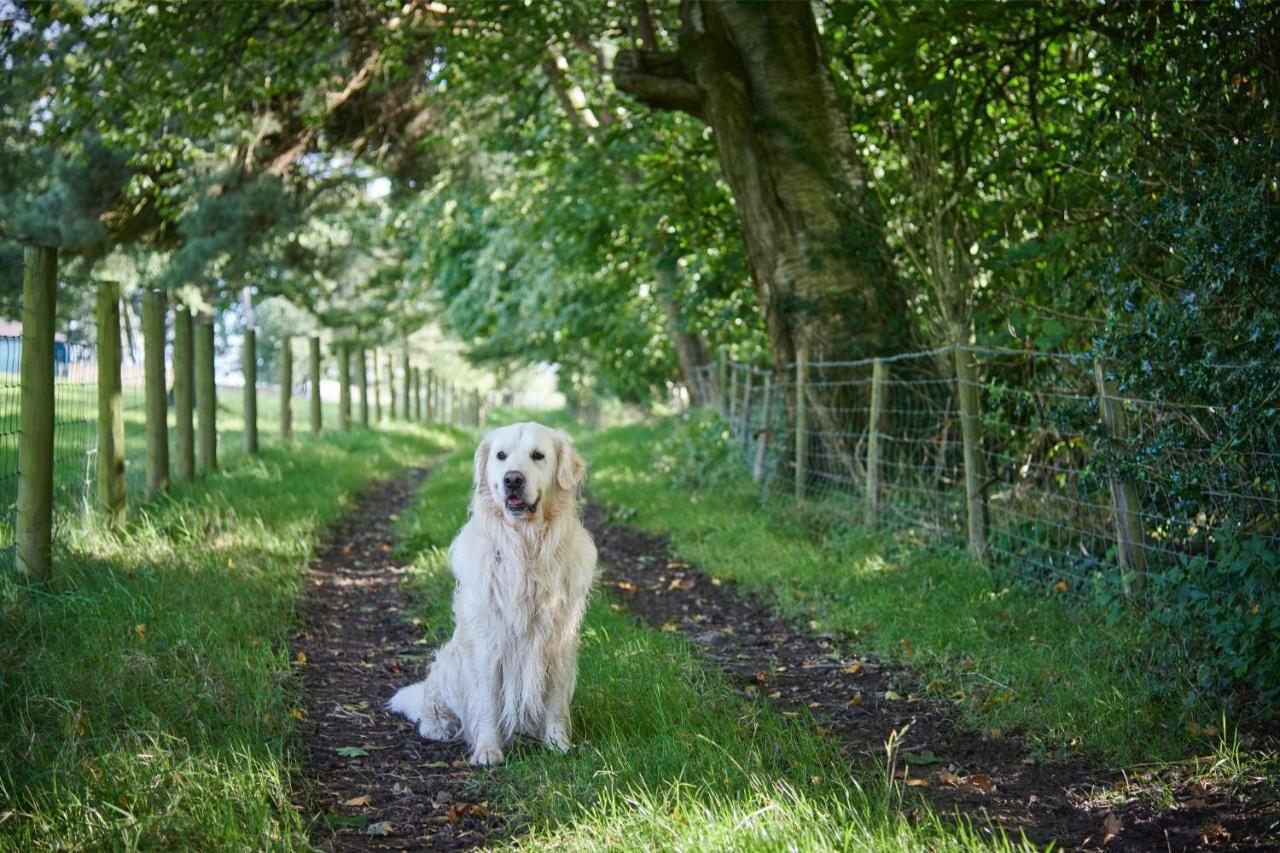 Newlands Farm Stables Holiday home Kendal