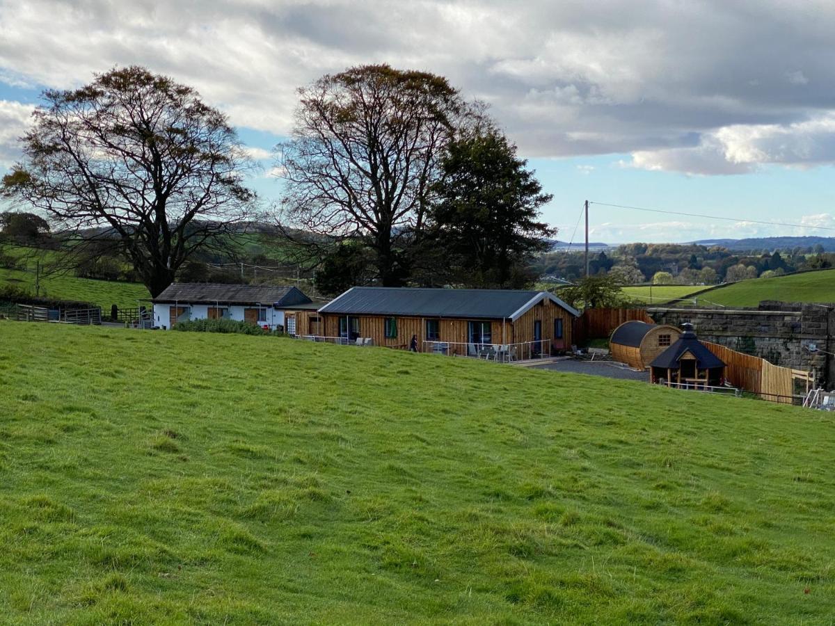 Newlands Farm Stables * Kendal